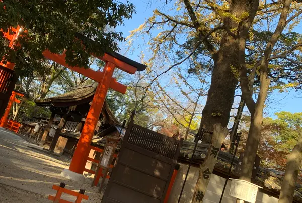 河合神社の写真・動画_image_898558