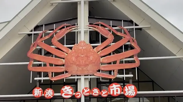 【富山】内川でカニと海鮮を堪能🦀レンタル着物でノスタルジックな街をおさんぽ旅