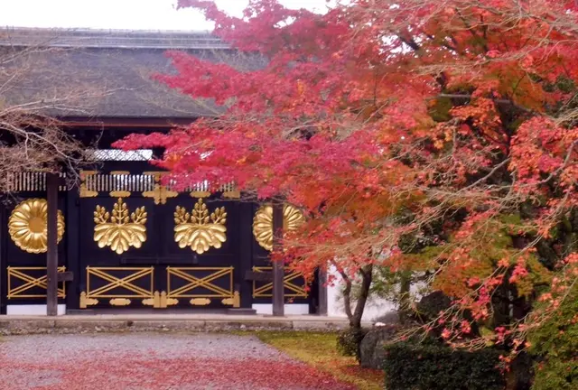 ゆる～く京都歴史探訪♡テーマは”秀吉と桃山文化”