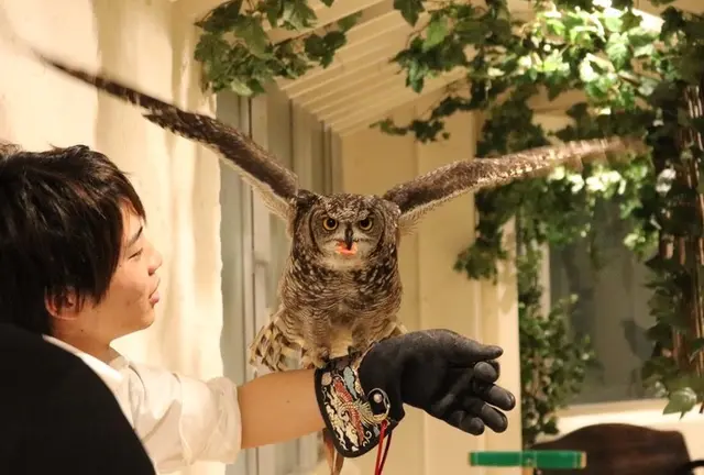 原宿でタカやフクロウとふれあえ、鷹匠になりきりのフライト体験「鷹匠体験」ができる！