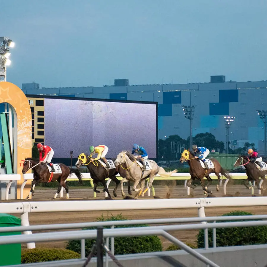 大井競馬場の楽しみ方完全ガイド 競馬場グルメや季節イベントを楽しめる大人の遊び場 Holiday ホリデー