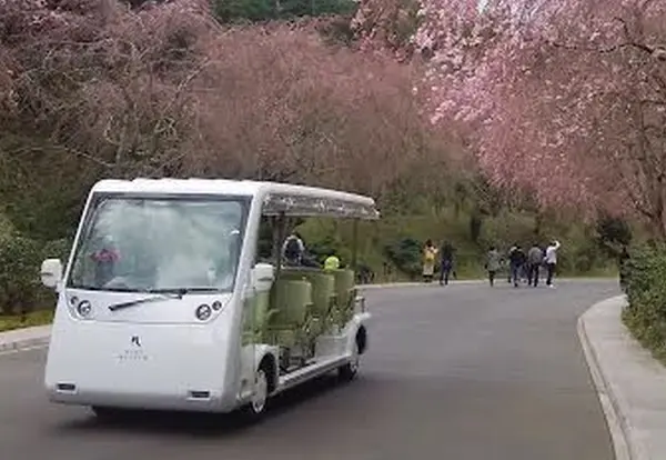 歩きもいいけど電気自動車に乗るのもいいね