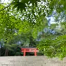 あき