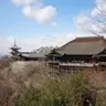 晴れ時々寺社巡り