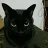 たま
