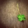 やまもりふるーつ